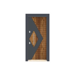 DRL 1704 double color Laminox Steel Door
